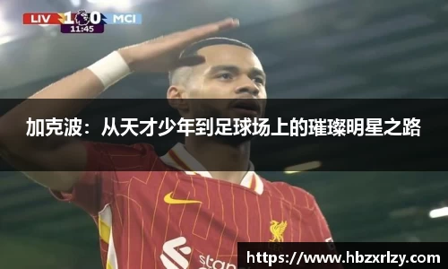 球探足球直播网